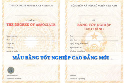 Cập nhật mẫu bằng tốt nghiệp Cao đẳng Dược TPHCM Cập nhật mẫu bằng tốt nghiệp Cao đẳng Dược TPHCM